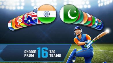 Cricket T20-Multiplayer Game截图2