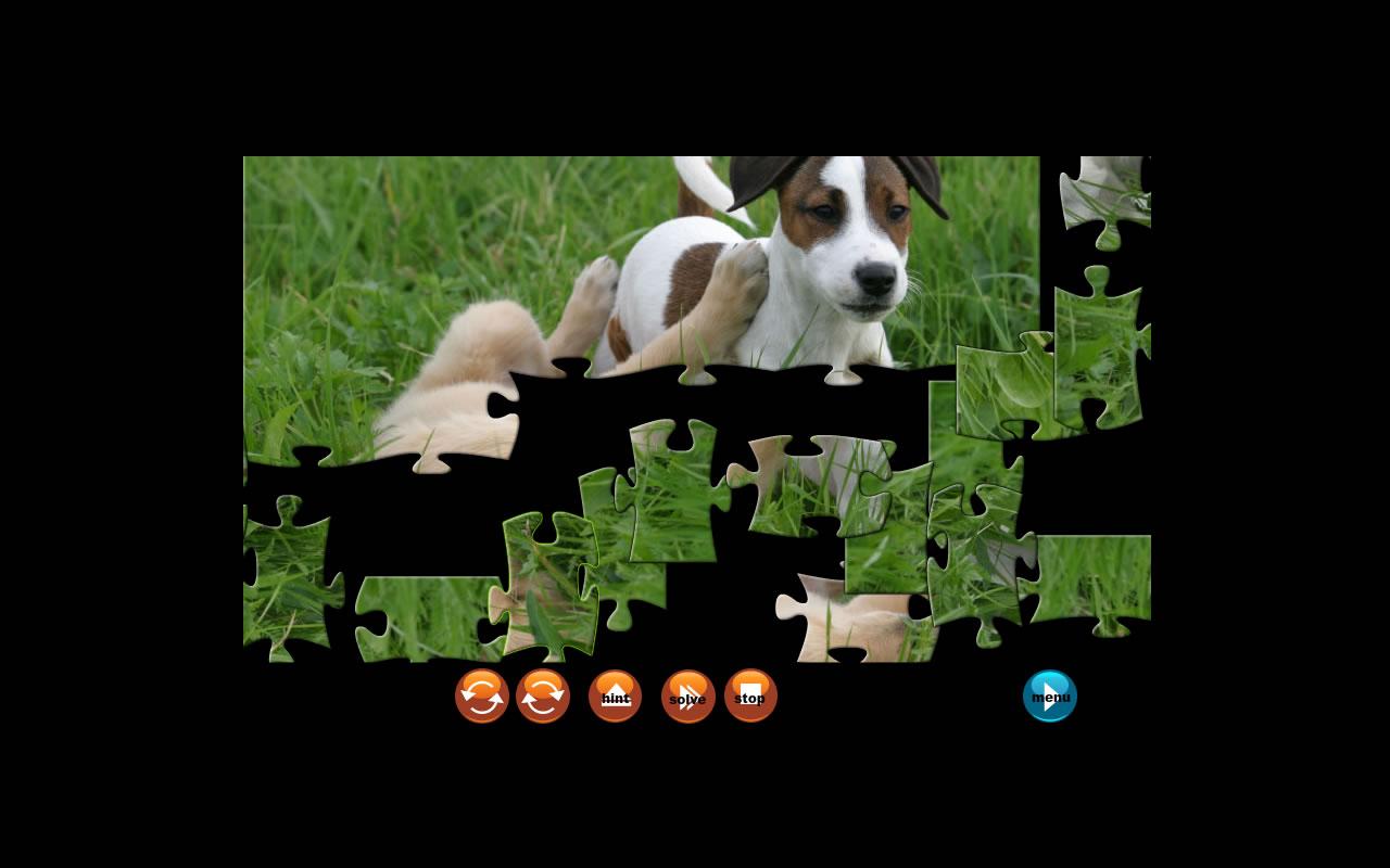 Puppy JigSaw Puzzle截图1