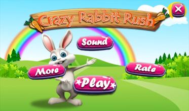Rabbit Run - Bunny Rush World截图5