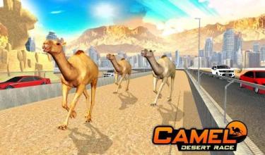 Camel Desert Race Simulator - Animals Racing 3D截图3