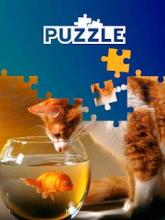 Animals world tile puzzle截图2