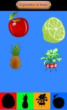 Vegetables Fruits Puzzles FREE截图2