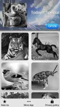 Animal Jigsaw Puzzle: Solve By Numbers截图5