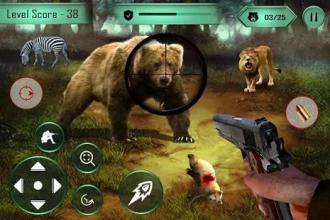 Animal hunting wild bear Sniper Shooter截图3