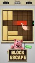 Unblock Wood Puzzle截图1