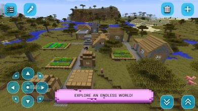 My Craft World 3D截图2