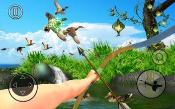 Wild Animal Archery Hunter Bird Shooting Game截图5
