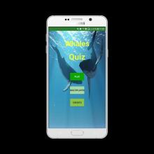 Whales Quiz截图5