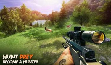 Ultimate Hunting Animal Sniper Shooting截图4