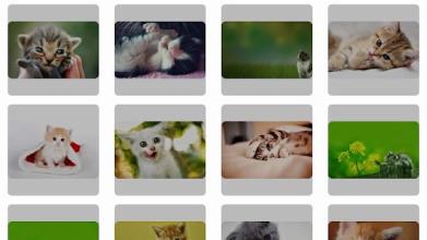 Kittens Funny Puzzle截图4