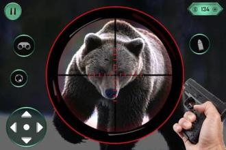 Animal hunting wild bear Sniper Shooter截图1