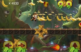 Super Monkey World - Jungle Adventure截图4