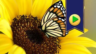 Jigsaw Puzzles Butterfly Games截图1