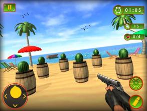 Watermelon Shooting 3D - Gun Shooting Game截图2