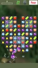 Fruits Berry Fun 2D截图2