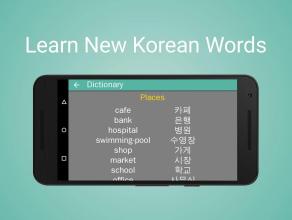 Findex: Korean Words Search截图3
