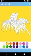 Birds Coloring Book截图3