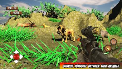 Sniper Animal Hunting Ultimate Safari Survival截图5