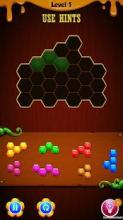 Hexagon Party Puzzle截图2