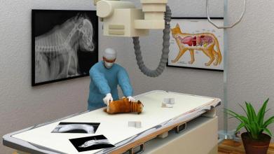 Pet Doctor & Vet simulator: Pet Hospital Games截图5