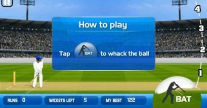 Cricket 2 mb Games截图1