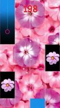 Pink Flower Piano Tiles截图3