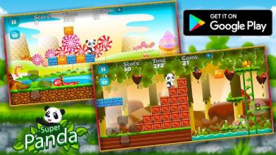 Panda Run : Panda in the Wild Jungle Adventures截图4