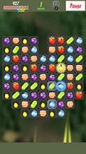 Fruits Berry Fun 2D截图1