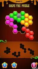 Hexagon Party Puzzle截图3