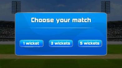 Cricket 2 mb Games截图2