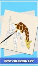 Animal Coloring Book: Fun Game for Kids截图4