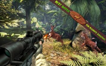 Safari Survival Deer Hunter Sniper Game 2017 Free截图4