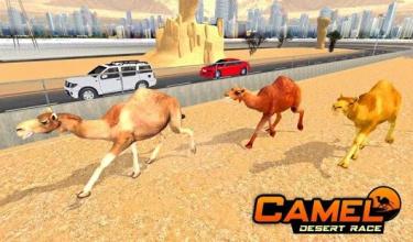 Camel Desert Race Simulator - Animals Racing 3D截图4