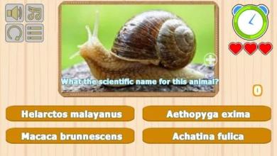 Guess Animal Scientific Names截图1