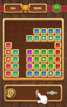 Block Puzzle - Wood Star截图3