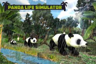 Panda Family Fun: Jungle Survival截图5