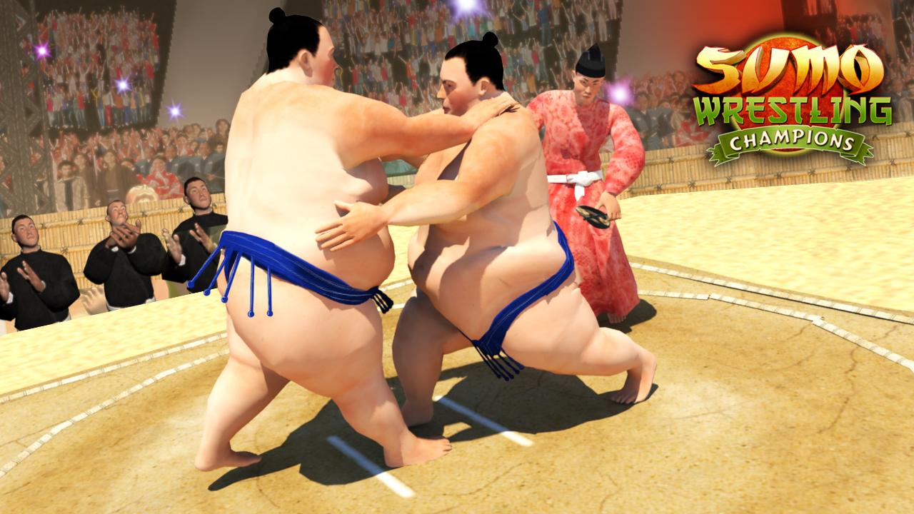 Sumo Wrestling Champions -2K18 Fighting Revolution截图4