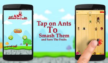 Ant Smasher Free Game截图1