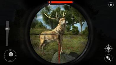 Wild Animal Jungle Hunt - Forest Sniper Hunter截图2