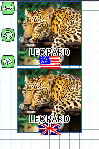 Puzzles in English: Animals截图1