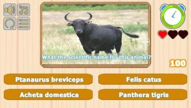 Guess Animal Scientific Names截图2