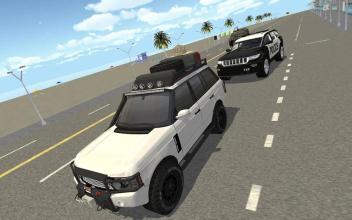 Real Police City Car Chase截图3