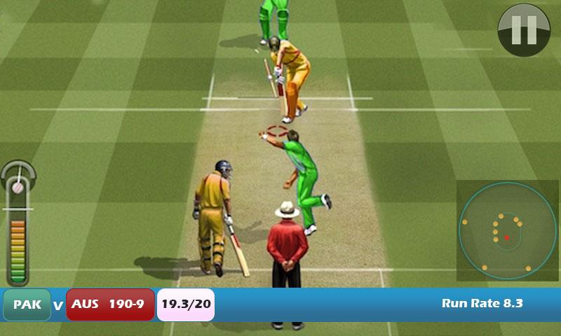 Pak vs Aus Cricket Game Live截图5