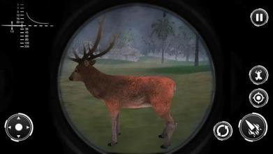 Wild Safari Hunting Animals - Sniper Shooting Game截图5