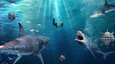 Shark Shark Run截图5