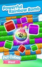 Pet Cubes Blast截图3