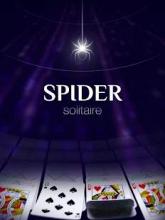 Spider Solitaire World截图1