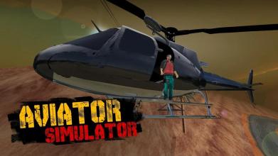 Aviator Simulator截图1