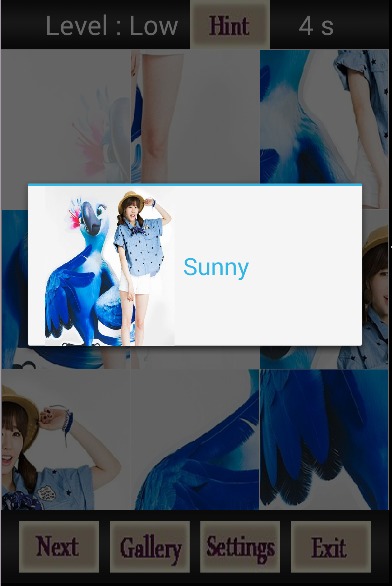 Sunny SNSD Games截图4