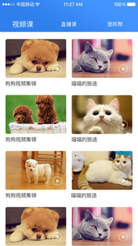 寵幫邦截圖